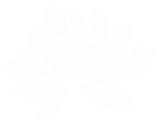 Solace Organic Spa